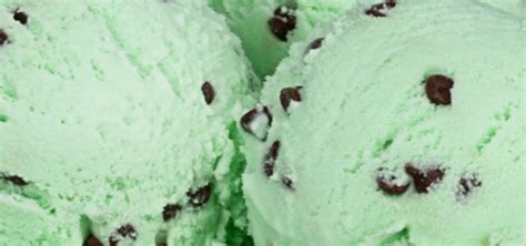 Mint Chocolate Chip Brigham’s Ice Cream