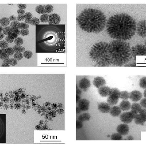 TEM Micrographs Of Pd Or Nanoparticles C D Obtained With Different Pd