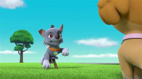 Rocky Gallery Ultimate Rescue Pups Save A Swamp Monster Paw Patrol