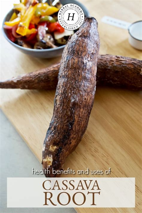 Health Benefits And Uses Of Cassava Root Herbal Academy