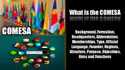 What Is The Common Market For Eastern And Southern Africa Comesa