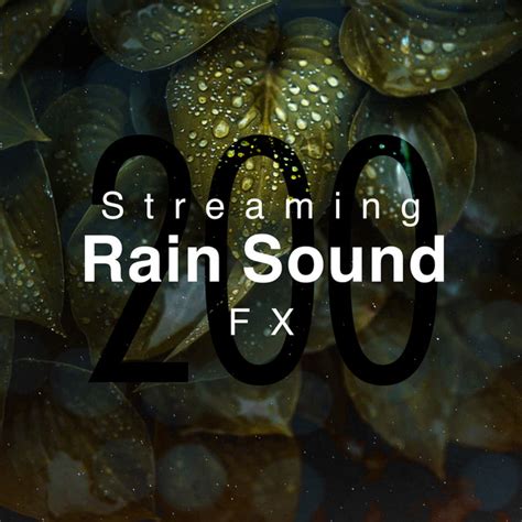 200 Streaming Rain Sound FX Album By Heavy Rain Sounds Spotify