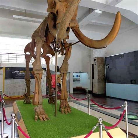 Museum Geologi Bandung Wisata Edukasi Seru Tentang Bumi