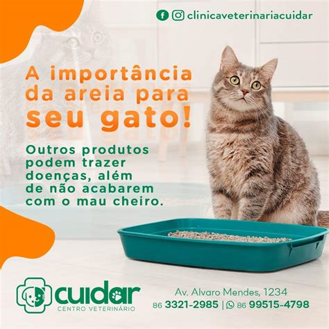 Blog Do Pessoa Cl Nica Cuidar Cuidando Bem Do Seu Melhor Amigo