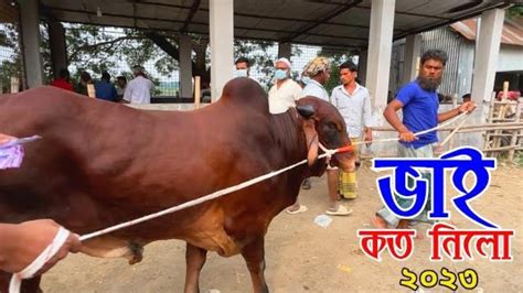 Bhai Koto Nilo Paragram Hozrotpur Gorur Haat 2023 Part 5 Cow