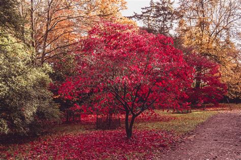 How to Visit Harcourt Arboretum: The Green Space of Oxford | solosophie