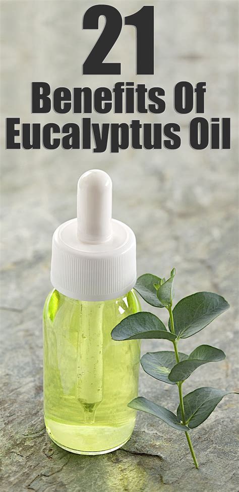 10 Health Benefits Of Eucalyptus Oil And How To Use It Eucalyptus Oil