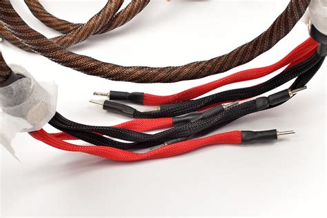 Wireworld Eclipse Ecs Bi Wire Banana Cables Speaker Cables