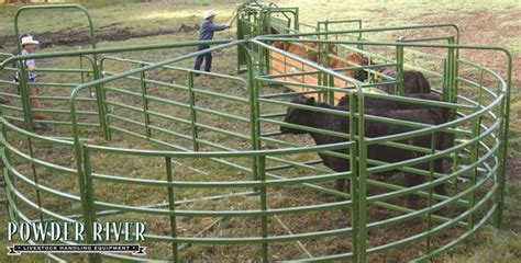 Powder River Cattle Working Systems Alleys Tubs And Complete Handling