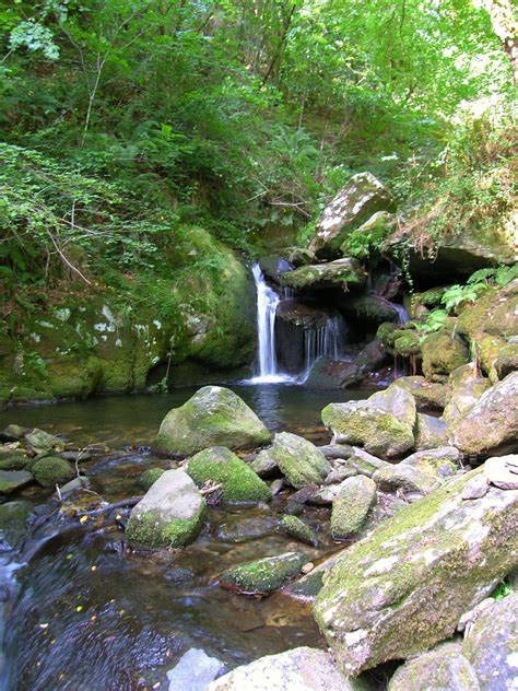 Images Gratuites Paysage Arbre Eau Roche Cascade Ruisseau