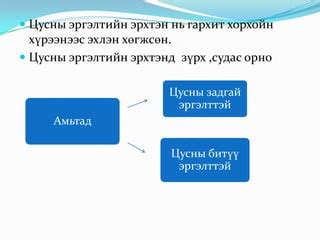 8 цусны эргэлт | PPT