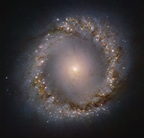 Ring Galaxy