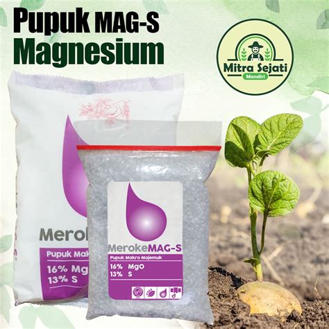 Jual Pupuk Meroke Mag S Gram Repack Pupuk Magnesium Sulfat Garam