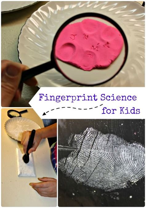 Fingerprint Activities For Kids Artofit