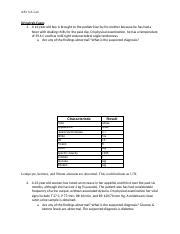 Urinalysis Cases Done Docx Pdf AP2 UA Lab Urinalysis Cases 1 A 14