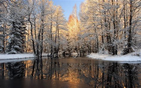 Minnesota Winter Wallpaper (60+ images)