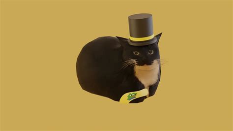 Aggressive horizontally spinning maxwell pepe cat - YouTube
