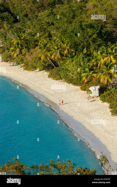 Trunk Bay And Beach On The Caribbean Island Of St John In The Us Virgin