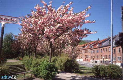 Arkiv Dk Vardevej I Vejle Ca