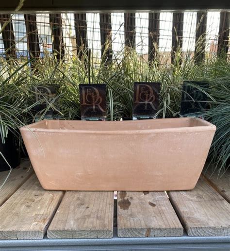 Garda Window Box White Garden The Nunhead Gardener