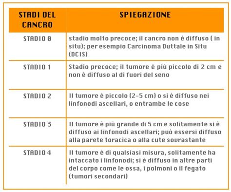 Quali Sono Gli Stadi Del Tumore Al Seno Prof Massimo Vergine