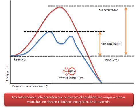 Ejemplos De Los Factores Que Afectan La Velocidad De Reaccion