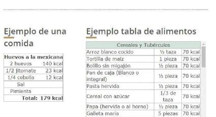 K Sz N M A Seg Ts Gedet V Laszt Ima Calcular La Ingesta De Calorias