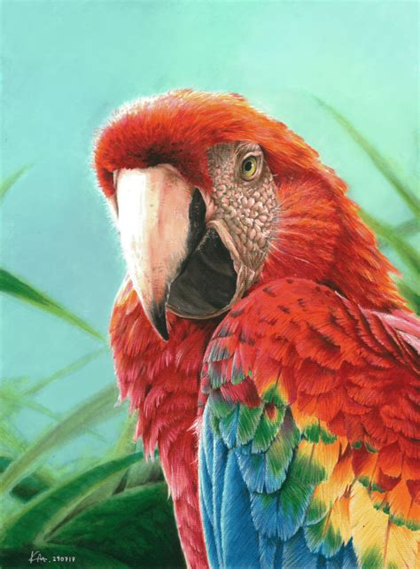 Artstation Scarlet Macaw Painting