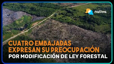 Cuatro embajadas expresan su preocupación por modificación de la ley