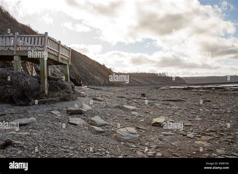 Wooden Stairs Leading To Tidal Plane At Low Tide In Bay Of Fundy At