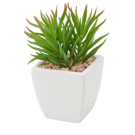 Torre Tagus Succulente Artificielle Spike En Pot Blanc Gauvin