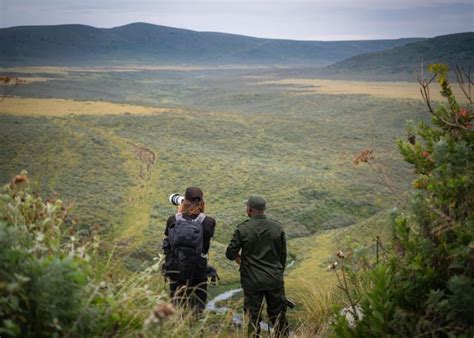 Tourism Ngorongoro Conservation Area Authority Ncaa