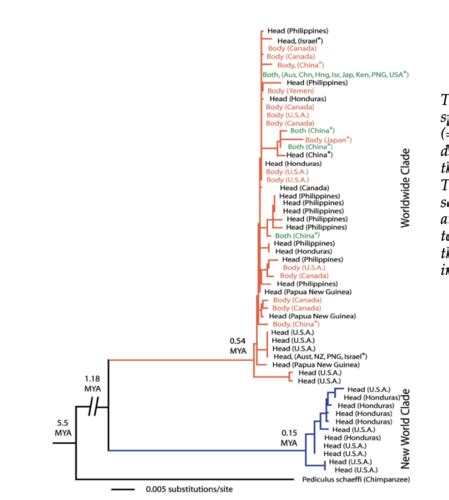 Bio 111 Cumulative Exam Flashcards Quizlet