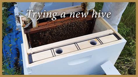 Honey Bees Installing A Nuc In A New Hive Gsb S2 E3 Youtube