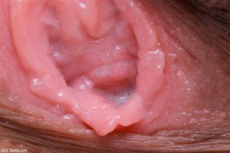 Shaved Japanese Teen Junko GirlsDelta Junko H First Time Nude 132 119 Zdjęcie Porno