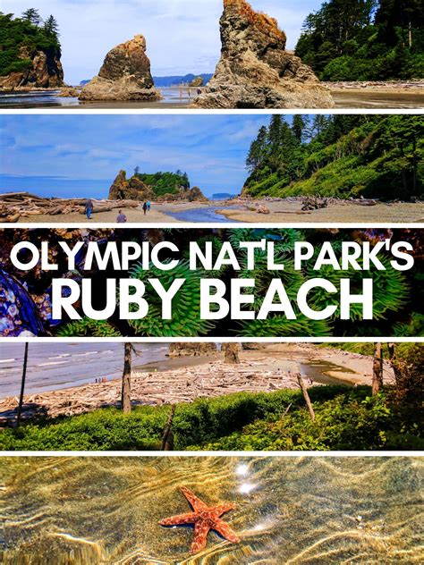 Ruby Beach at Olympic National Park - 2TravelDads