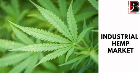 Industrial Hemp Market Analysis Business Development Size Share