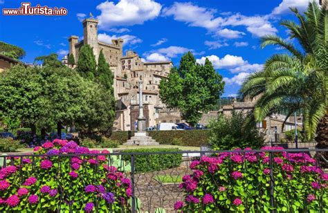 La Festa Delle Ortensie A Bolsena Date