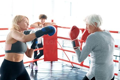 317 Mature Women Boxing Stock Photos Free Royalty Free Stock Photos