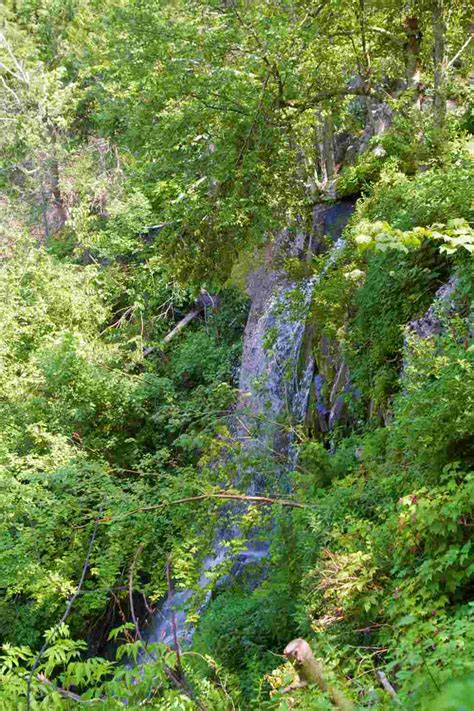 The Best Waterfalls In Shenandoah National Park