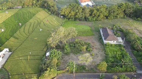 Dijual Tanah View Terasering Sawah Di Pantai Canggu Bali