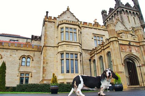 Dog Friendly Hotels In Ireland A Five Star Experience In Lough Eske