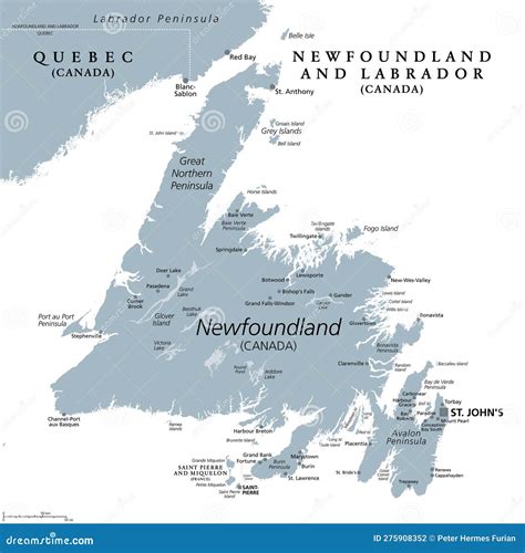 Island Of Newfoundland Gray Political Map Newfoundland And Labrador