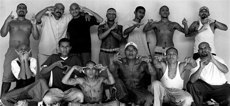 A Guide To The Creation Rise And Rule Of Latino Gangs In The Us