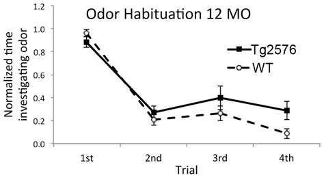 For Example As Shown Here 12 MO Tg2576 Mice N 12 Showed Less