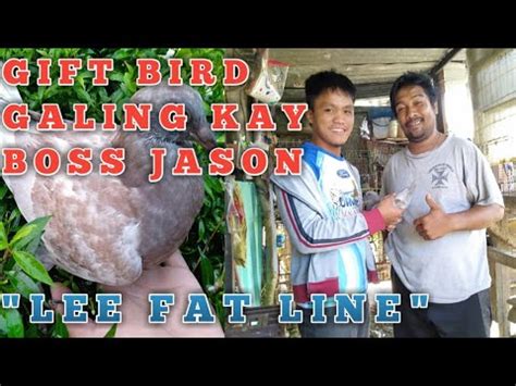 GIFT BIRD NA PANG MALAKASAN JHERCEL LOFT TV YouTube