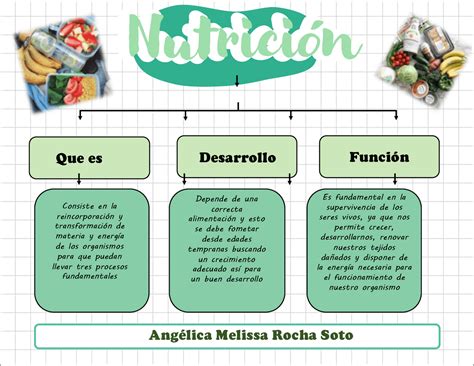 Mapa Conceptual Sobre La Nutricion