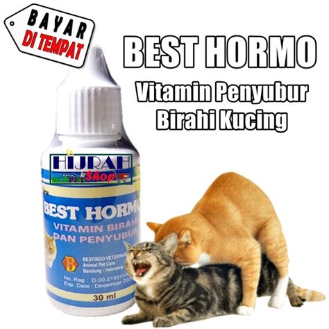 Jual Obat Kucing Vitamin Kucing Suplemen Kucing Meningkatkan Birahi