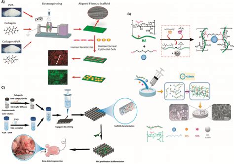 Polymer Based Scaffolds In Tissue Engineering Applications A