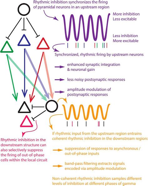 How Close Are We To Understanding What If Anything Oscillations Do